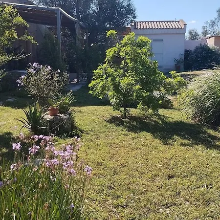 Apartment Lu Mele